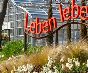 Landesgartenschau Überlingen hat am 30. April 2021 geöffnet Landesgartenschau Überlingen hat am 30. April 2021 geöffnet