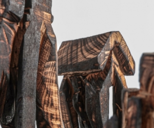 Wohin entwickelt sich die Welt?